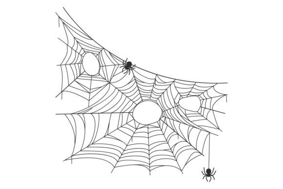 Decorative Spider Net. Black Line Cobweb: A Bold Choice